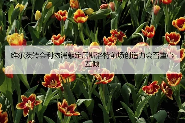 维尔茨转会利物浦敲定后斯洛特前场创造力会否重心左倾